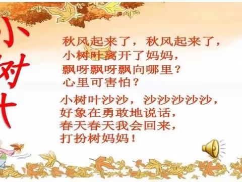 今日音乐活动《小树叶》