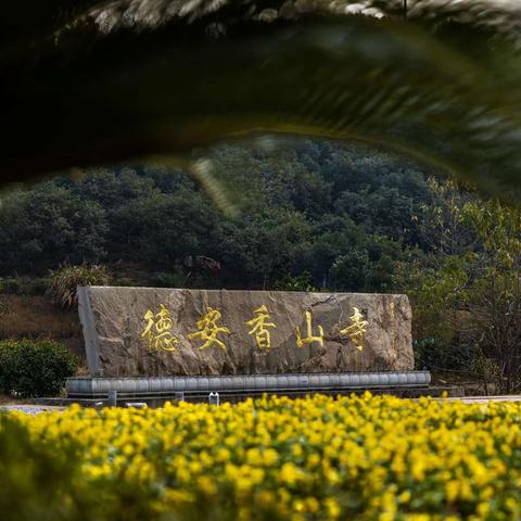 【阳光之者】20231213德安香山寺