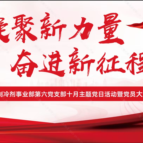 凝聚新力量 、奋进新征程——六支部开展十月主题党日活动暨党员大会