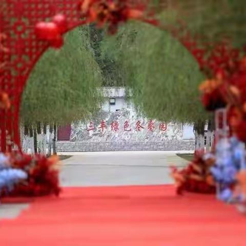 ✨新乡市三丰冬枣采摘园喜迎中秋国庆🚩重磅来袭✨