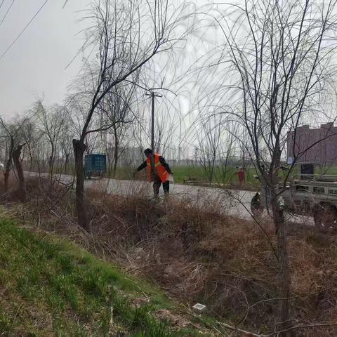 讲武镇春季环境卫生整治工作动态