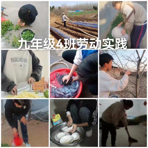 九年级大休德育教育展示