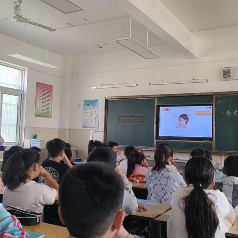 开启科学探究之门——马坡镇九段小学四一班科学纪实课。