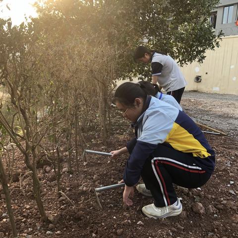 播撒绿色希望 共建美丽校园——湾里初级中学3.12植树节活动