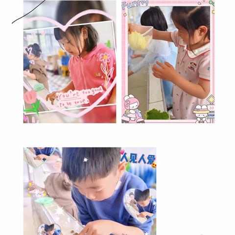 马驹桥小学附属幼儿园——我们的快乐生活