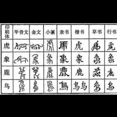 享书写之乐，尚汉字之美——驼人小学举行“汉字之美”活动