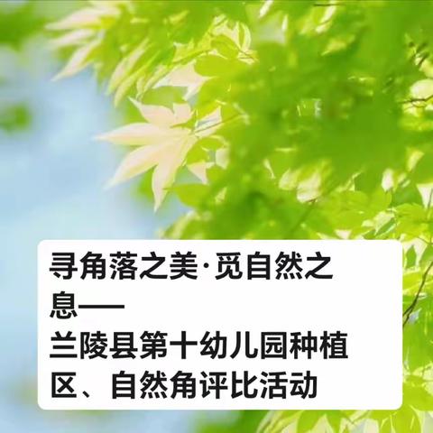 寻角落之美·觅自然之息—— 兰陵县第十幼儿园种植区、自然角评比活动