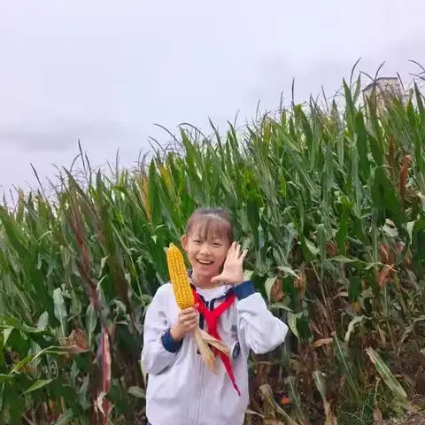 “国庆同欢乐・稻谷庆丰收”—博兴县第一小学西校区2023级11班活动纪实