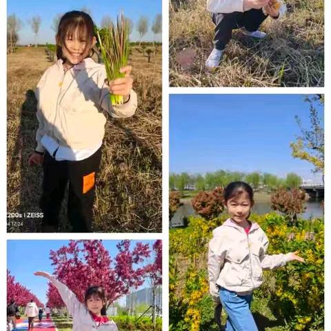 清明习俗 踏青护绿——博兴县第一小学西校区2023级11班绘彩蛋，春日踏青活动
