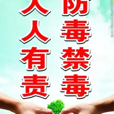 健康人生   无毒无悔——那大第三小学主题班会