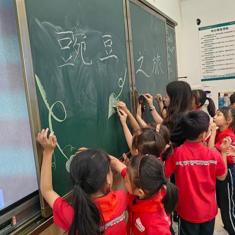 芝兰班劳动课程—小豌豆和小香菜