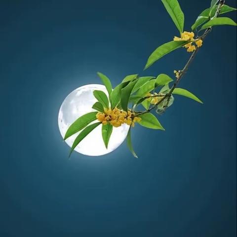 双节同庆，我们在这里