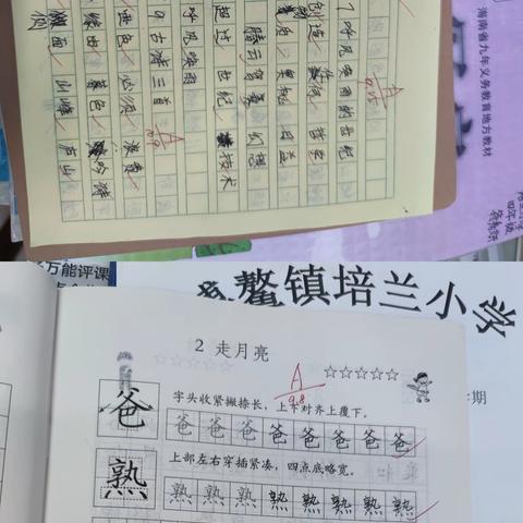 博鳌镇培兰小学四五六年级语文教学常规抽查情况反馈