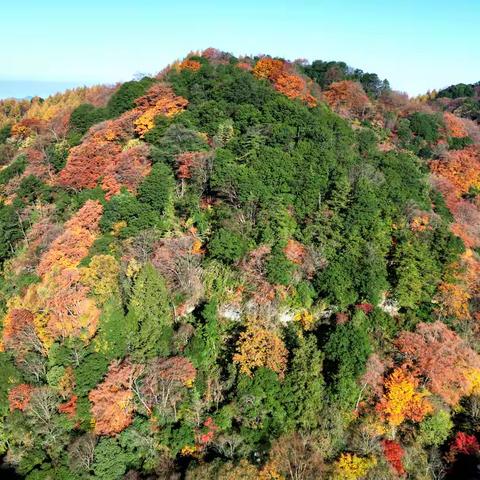 四川广元市旺苍县光头山美丽秋景