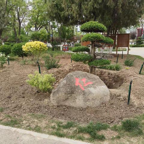 漫野寻芳——解放公园北门花境打造