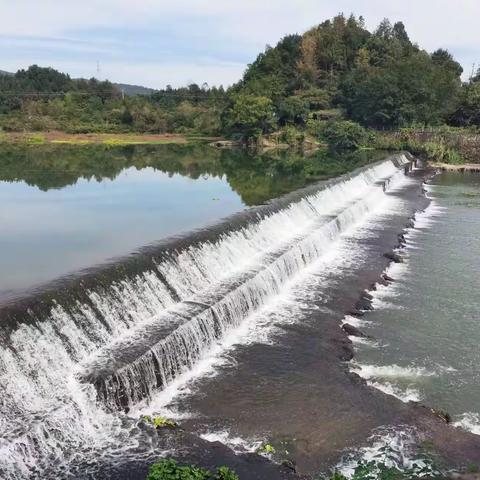 大田乡开展“五水共治”宣传活动