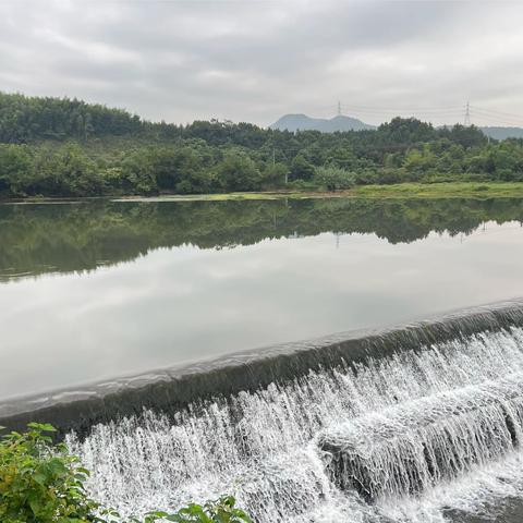 及时清理水葫芦，还河道健康-大田乡