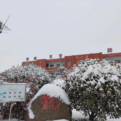 风景这边独好                  ——龙山屯小学雪景