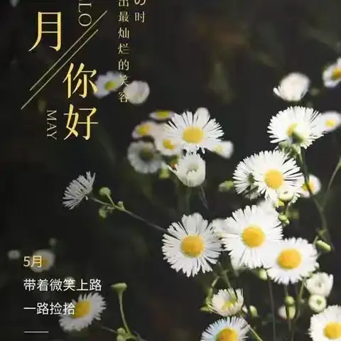 文鑫物业兰亭熙园 5月份服务简报