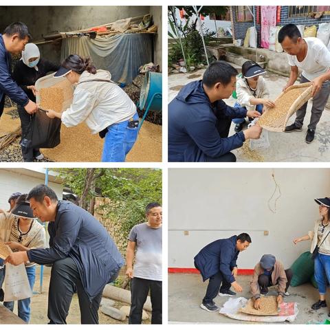 强力监管护航夏粮收购