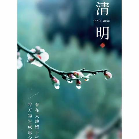 北庞村小学“缅怀革命先烈，传承红色基因”清明节烈士陵园扫墓活动