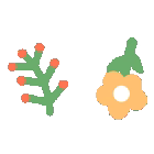 慧眼识破“保健品”骗局，为老人守护金融安全