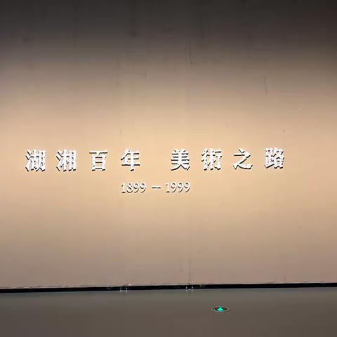 参观美术馆的难忘体验