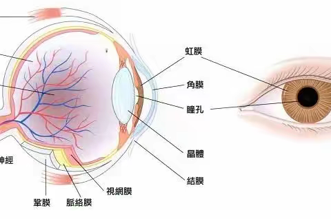 常常被忽略，却又很重要的视觉训练是啥呢？