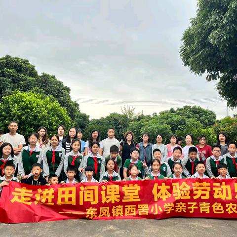 【幸福西罟·活动】走进田间课堂 体验劳动乐趣——东凤镇西罟小学亲子青色农耕之旅