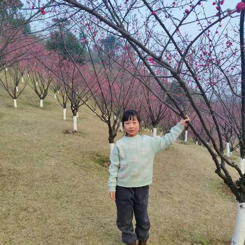 阅读新时代  书香润心田——宝丰县东城门小学二（3）班杨林颖寒假读书掠影（第142期）