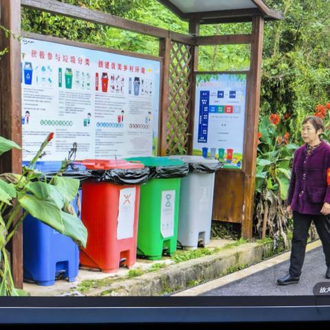 一个村庄“垃圾分类”的实践观察