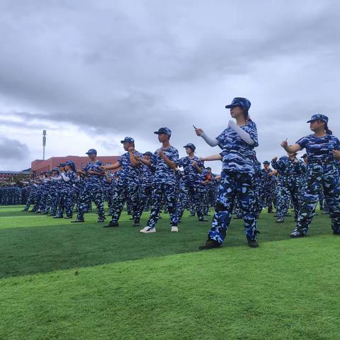 宝剑锋从磨砺出，梅花香自苦寒来