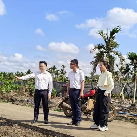 紧盯“非粮化”整改工作，守住农民“饭碗田” ——美兰区演丰镇开展“非粮化”图斑专项整治行动