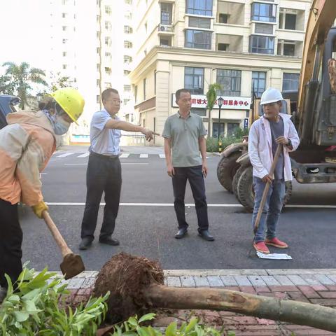 市住建局现场指导市政基础设施项目台风“摩羯”灾后自救及复工复产工作