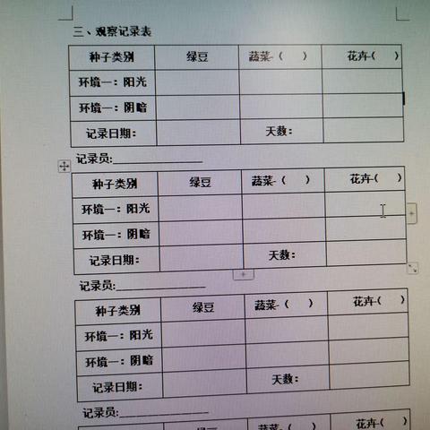 科学部落格-种子成长日记（更新11月 7日）