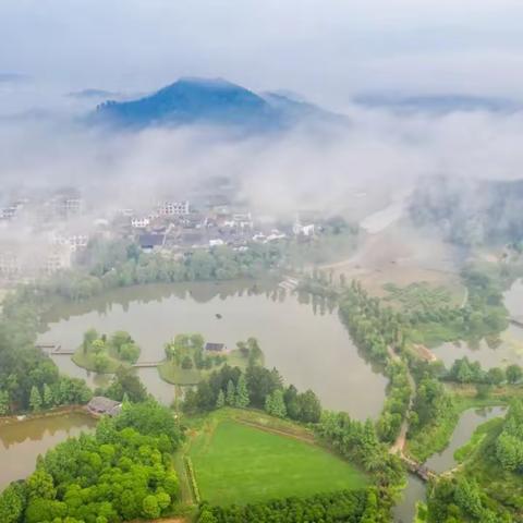 扎实推进“河长制”工作，纵深推进四乱清理常态化