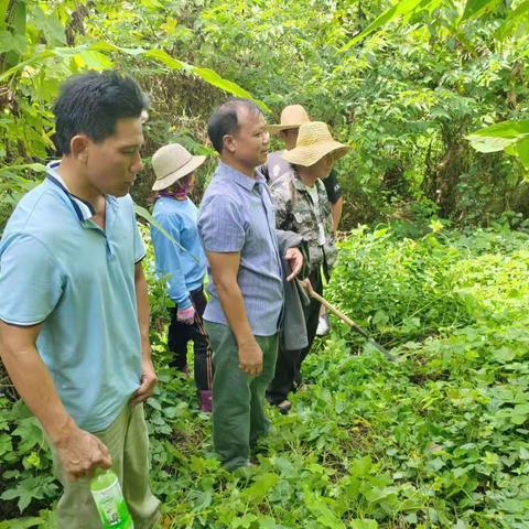 网格员协助化解土地界线纠纷