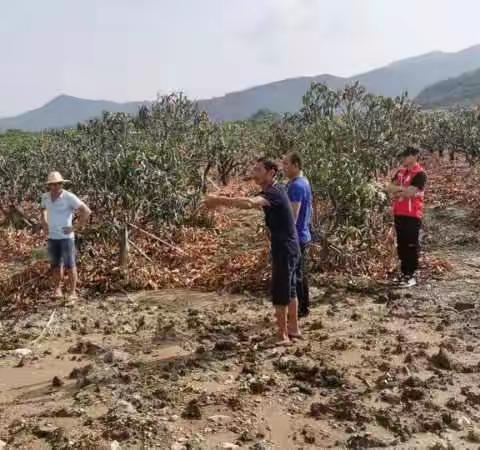 网格员协助化解土地界线纠纷