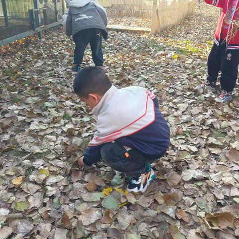 邹平市韩店镇中心幼儿园中六班班本课程——多“枝”多彩