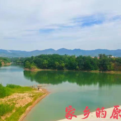 又逢端午-回家割麦