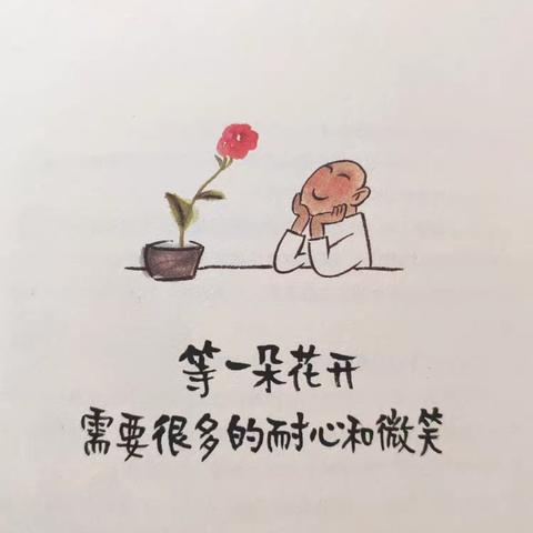 【教师读书】读《等一朵花开》有感