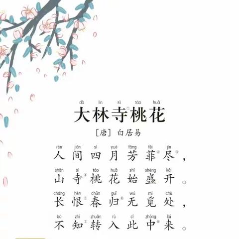 粉墨飘香     习字育人——亢村镇夹河学校粉笔字展示（四）