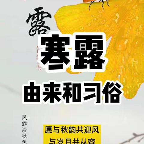 寒露至，秋已深—苗四班二十四节气之寒露美篇