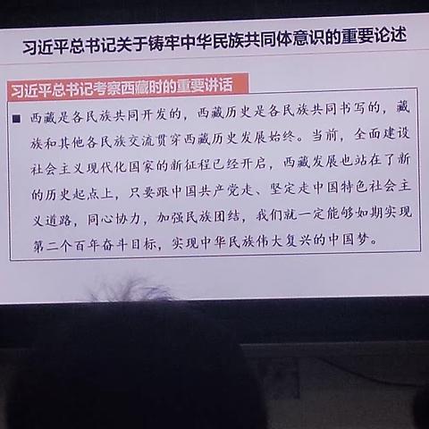 加强民族团结铸牢中华民族共同体意识