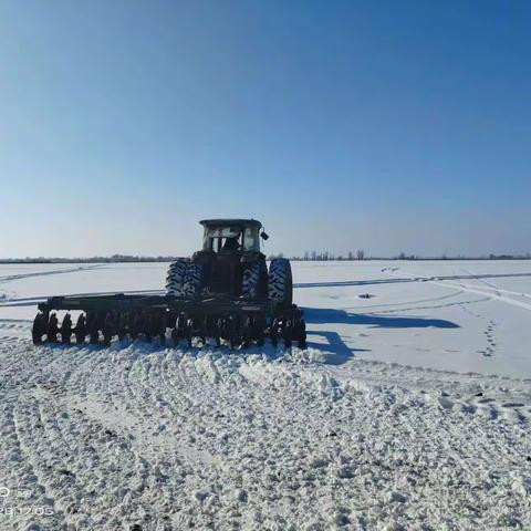 破雪早播促增产