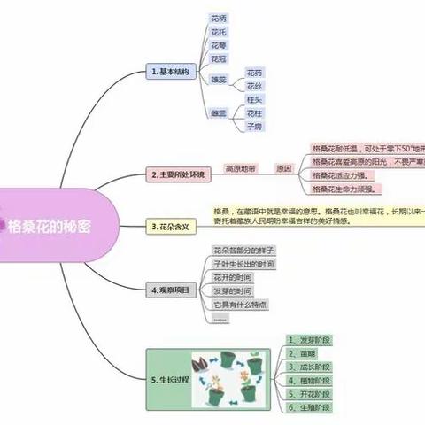 【许诺】格桑花伴我同行