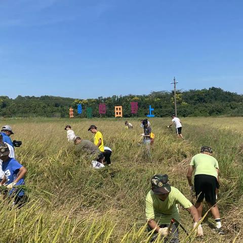 华农附校耕读学堂之校外实践活动纪实（二）