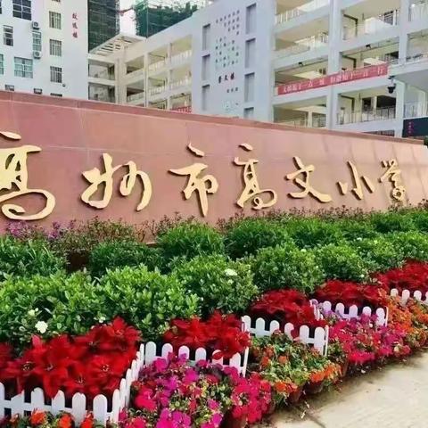 微光汇聚，暖心护学——记高文小学五18班志愿者活动