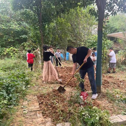 劳动实践，快乐成长 三（7）班劳动基地实践活动