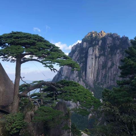 《黄山奇石》仿写